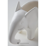 Valkoinen koristeellinen kukkaruukku (babs)