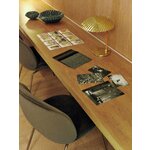 Samet Tool Beetle (Gubi)