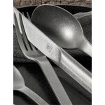 Minimale-aterinsetti (Zwilling)