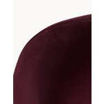 Punane Samet Tool Beetle (Gubi)