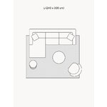 Ковер шерстяной с рисунком Авра (Нурисон) 240х300