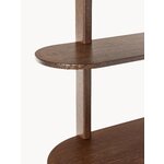 Narrow brown shelf with cabinet (calary) whole