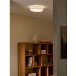White LED Ceiling Light (Helen)